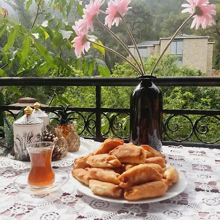 Vila Gokce * Antalya