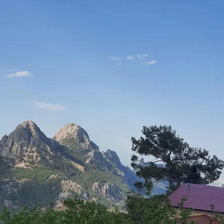 Villa Vila Gokce Antalya