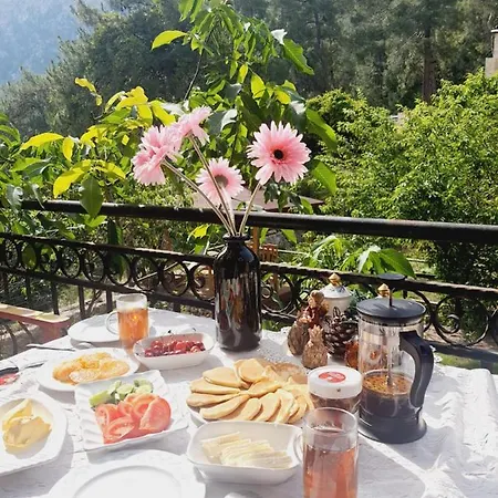 Villa Vila Gokce
